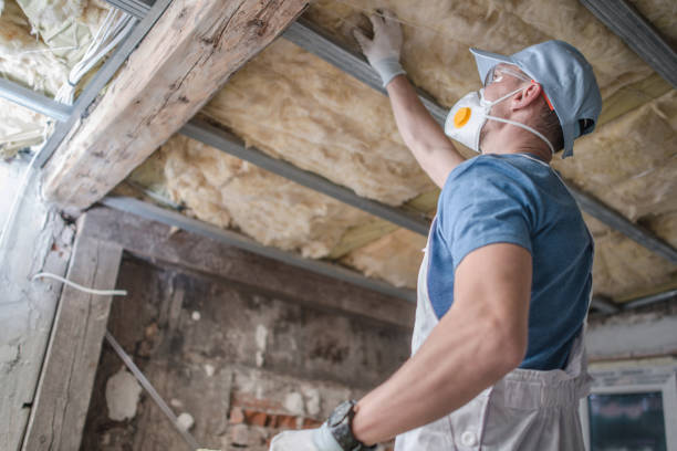 Types of Insulation We Offer in Plattsburgh, NY