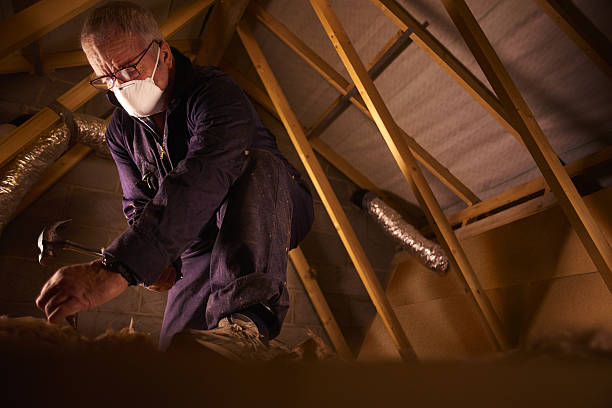 Best DIY Insulation Kits and Guidance in Plattsburgh, NY